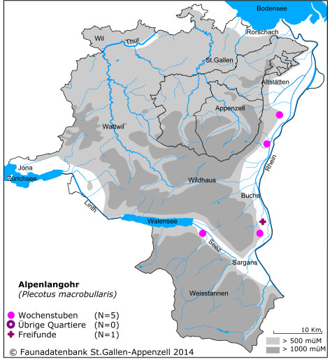 Fledermauskarte_Alpenlangohr